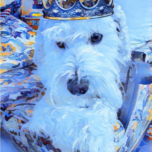 Meet your Posher, Sara - Picture 11 of 12